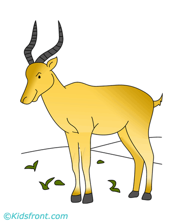 Lonely Antelope Coloring Pages